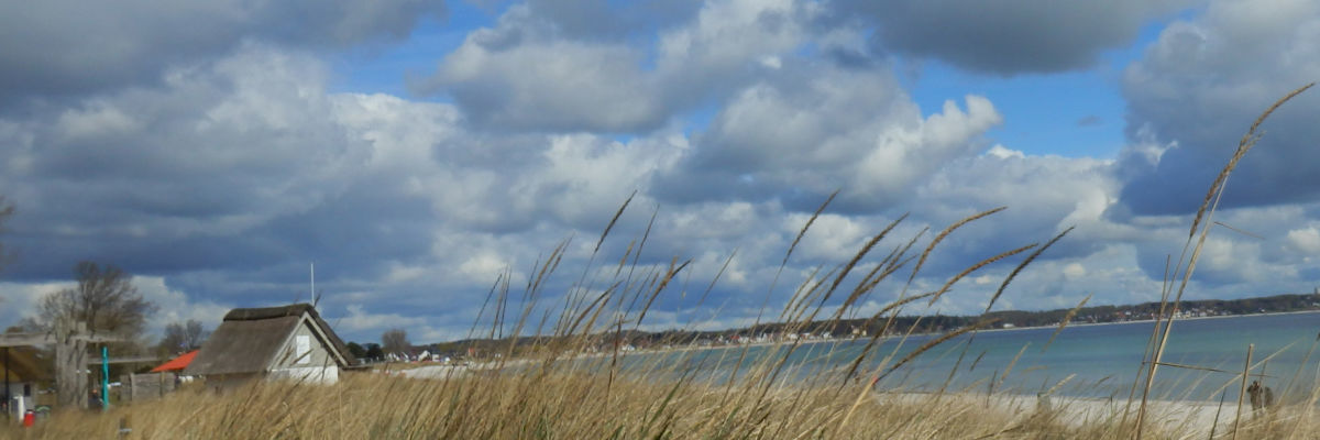 Diverse neue Bilder