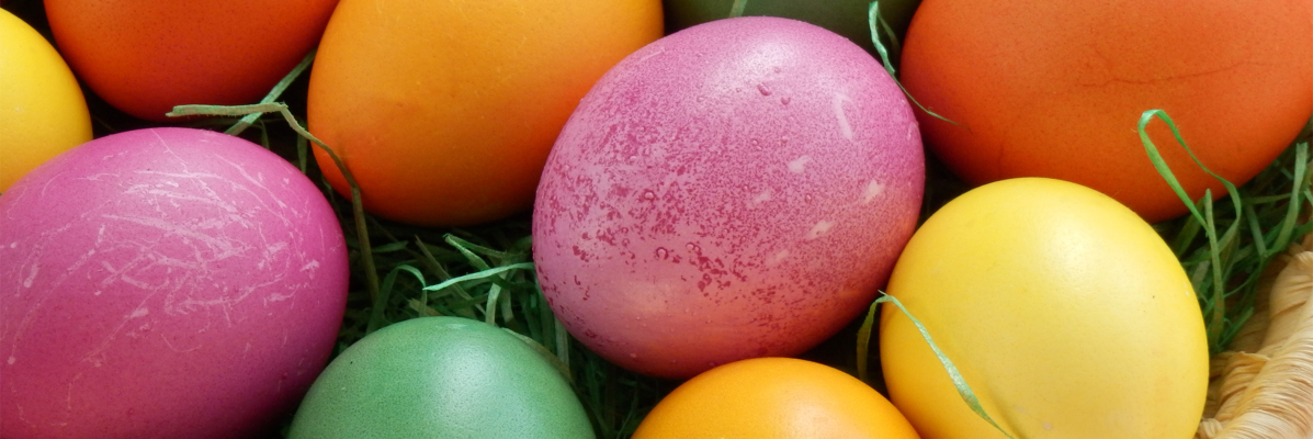 Frohe Ostern... Der Osterhase war da!