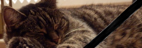 Elke ist tod. :(