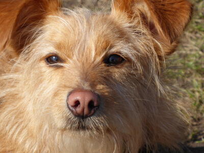 Masha in the Face