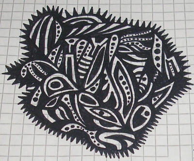 Lttle Kiwi