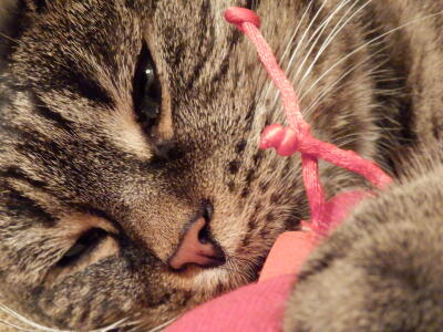 Elke Playin
