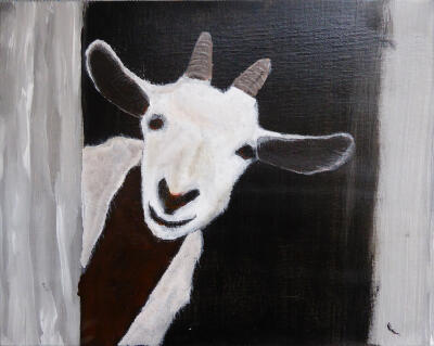 Rangi Goat